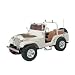 Search : AMT/Ertl The Dukes of Hazzard Daisy's Jeep Model Kit