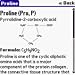 Amino acids' structures downloadable Software