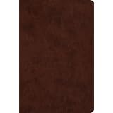 esv compact bible trutone brown