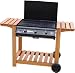 3 Burner Outback Style Flat Top Gas Barbecue Image