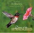 Dance of the Hummingbird