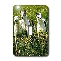 Dogs Greyhound - Greyhound - Light Switch Covers - single toggle switch
