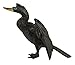 Safari Ltd. Wings of The World - Anhinga - Realistic Hand Painted Toy Figurine Model - Quality Construction from Safe and BPA Free Materials - for Ages 3 and Up