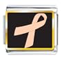 Peach Ribbon Awareness Italian Charms Bracelet Link
