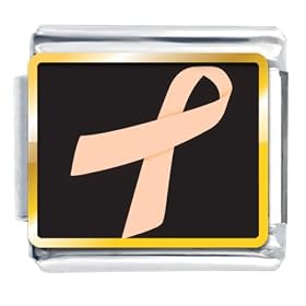 Peach Ribbon Awareness Italian Charms Bracelet Link