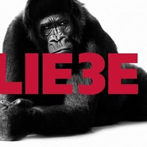 Hagen Rether -  Liebe 3