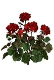 THREE 18" Artificial Geranium Flower Bushes in Red for Home, Garden Decoration