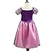 Mini Kitty Girls Princess Sofia Dress Cinderella Costume Bling Ball Dress