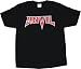 Anvil Classic Logo Men's Tee Shirt Sizes LARGE thru XL