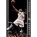 New Jersey Nets (Vince Carter) Sports Poster Print - 24x36