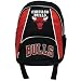 Chicago Bulls - Logo Rebound Black Mini Backpack