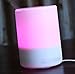 Eco UltrasonicTM Diffuser- PREMIUM Essential Oil Ultrasonic Diffuser & Humidifier, Spa Grade aromatherapy, 300mL, Powerful mist. LUXURY unit has **8-10 HOURS Continuous Diffusing!** 1 YR GUARANTEE. 4 timer/6 LED lights. AUTO shut off.