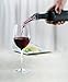 Winezen In-Bottle Wine Aerator and Pourer