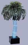 AP-5M Palm Tree Water Feature
