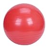 Sunny Health & Fitness Exercise Ball, 55 CM