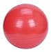 Sunny Health &amp; Fitness Exercise Ball, 55 CM
