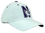 Northwestern Wildcats Adult One-Fit Hat