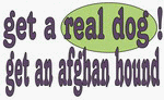 get a real dog! Get an afghan hound 11 oz. White Mug