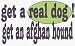 get a real dog! Get an afghan hound 11 oz. White Mug