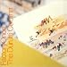 The Complete Shoegazer I