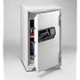 Sentry S6770 3-Cubic Feet Commercial Electronic/Tubular Key Fire Safe, 342-Pound, Gray