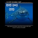 White Shark Cafe