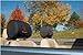 Oklahoma Sooners Headrest Covers Set Of 2 - NCAA