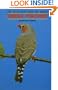 Zebra Finches