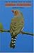 Zebra Finches