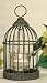Birdcage Hanging Votive Holder ~ Verdigris