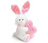 "Some Bunny Loves You" Pink & White Plush Rabbit Suffed Animal