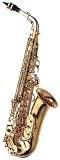 Yanagisawa A - 9930 Silver Series Professional Alto Saxophone - B0002F74D4