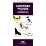California Wildlife (Pocket Naturalist)