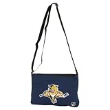 Florida Panthers Small Purse (11" X 8")