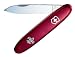 Victorinox Swiss Army Sentry Boy Scout Pocket Knife (Red)