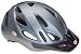 Bell Citi Bike Helmet (Matte Pewter, Universal Fit)
