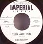 Teen Age Idol / I've Got Eyes for You (Vinyl 45 7")