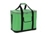 Bunte K�hltasche Picknicktasche Faltbar 30L Gr�n