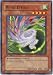 YuGiOh GX Phantom Darkness Single Card Wind Effigy PTDN-EN041 Common