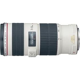 Canon EF 70-200mm f 4 L IS USM Lens for Canon Digital SLR Cameras by Canon