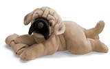 Montague dog