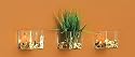 Set of 3 Chai Glass Tealight Holders - Wall-Mounted Design