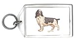 Keychain with animal, dog, bone