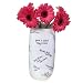 Kitchen & Housewares : Signature Vase