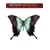 Bob Carlisle - Butterfly Kisses (Shades of Grace)