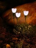 Solar Flower/Garden Accent Light, White - Set of 3