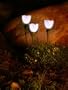 Solar Flower/Garden Accent Light, White - Set of 3