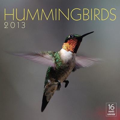 (12x12) Hummingbirds - 16-Month 2013 Calendar