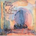 Click here to buy Through Windows and Walls by  Peter Kater .