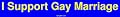 I Support Gay Marriage MINIATURE Sticker